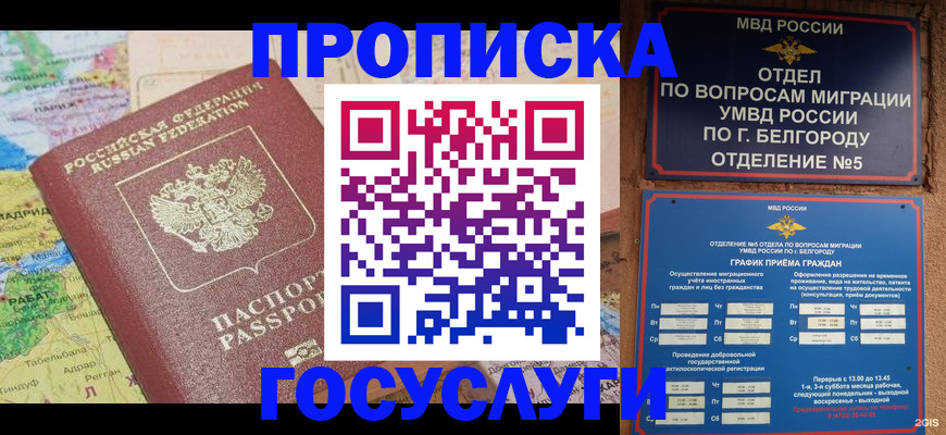 прописка регистрация в Новосибирской области